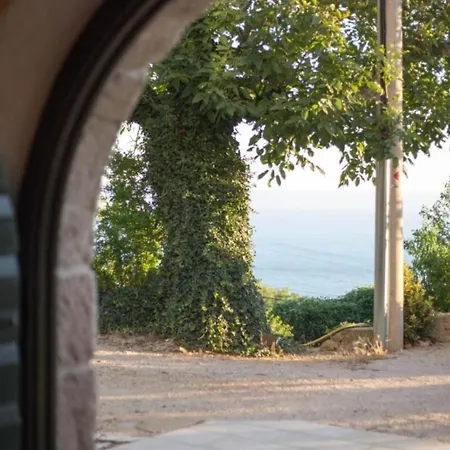 Maslina - Gornje Vila Tučepi